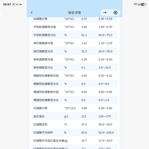 化验报告